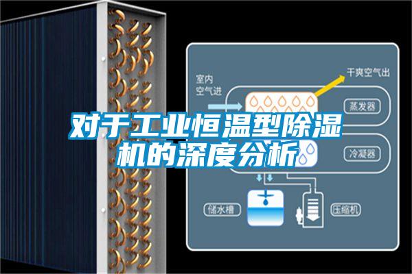 对于工业恒温型茄子视频懂你更多在线观看的深度分析