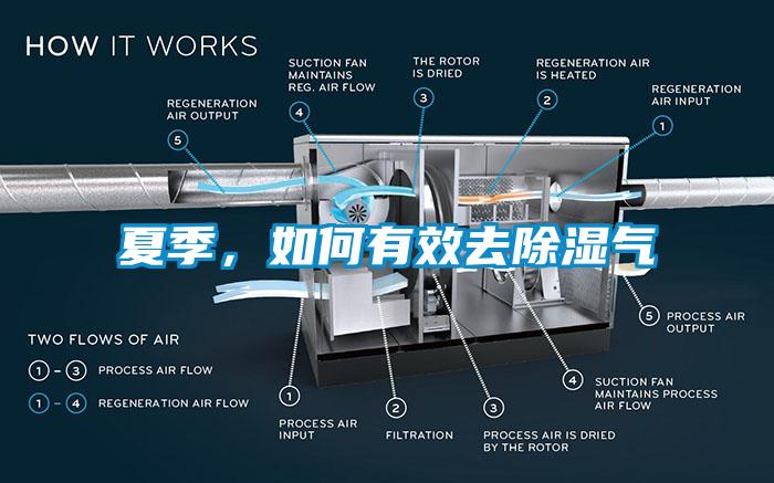 夏季，如何有效去除湿气
