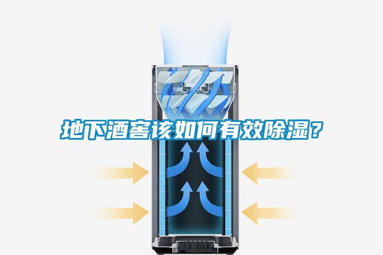 地下酒窖该如何有效除湿？