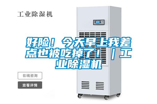 好险！今天早上我差点也被吃掉了！｜工业茄子视频懂你更多在线观看