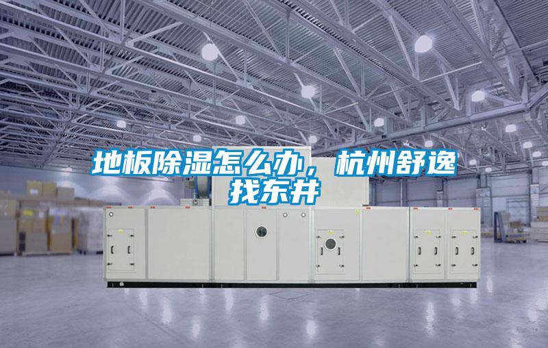 地板除湿怎么办，杭州舒逸找东井