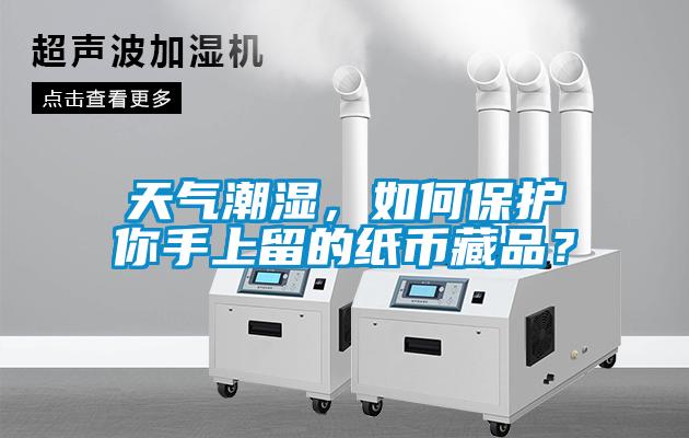 天气潮湿，如何保护你手上留的纸币藏品？