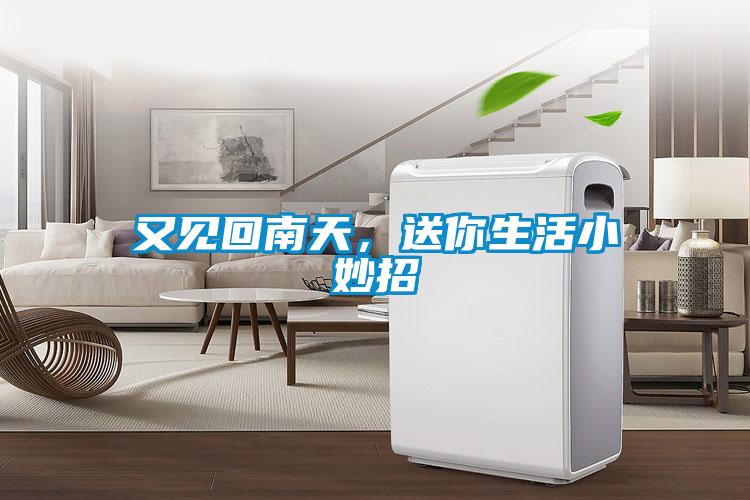 又见回南天，送你生活小妙招