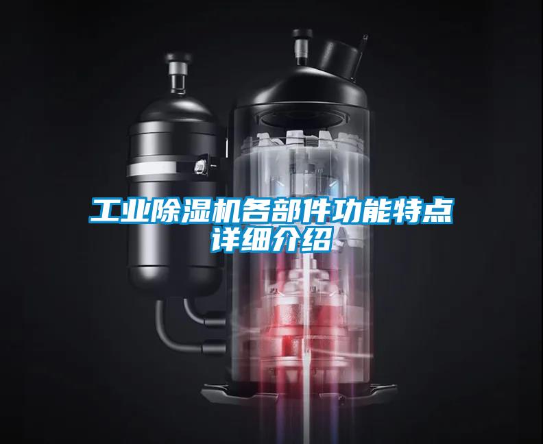 工业茄子视频懂你更多在线观看各部件功能特点详细介绍