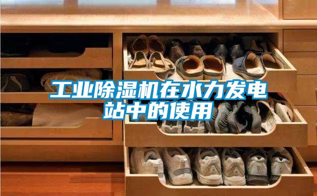 工业茄子视频懂你更多在线观看在水力发电站中的使用