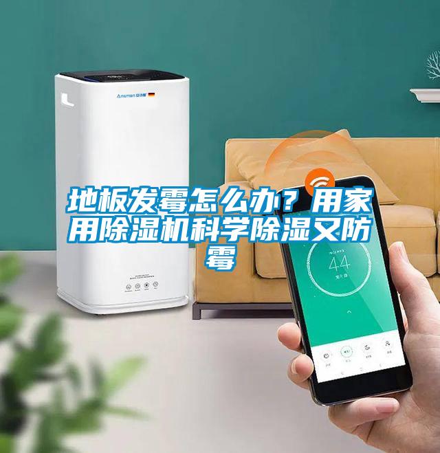 地板发霉怎么办？用家用茄子视频懂你更多在线观看科学除湿又防霉