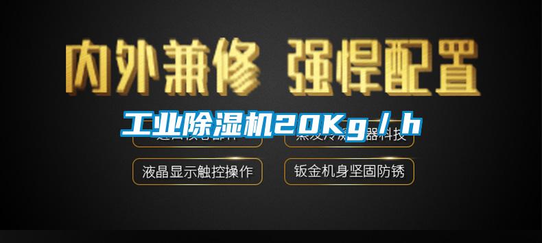 工业茄子视频懂你更多在线观看20Kg／h