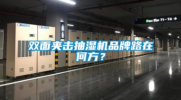 双面夹击抽湿机品牌路在何方？