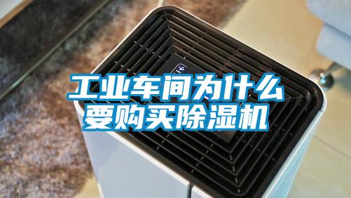 工业车间为什么要购买茄子视频懂你更多在线观看