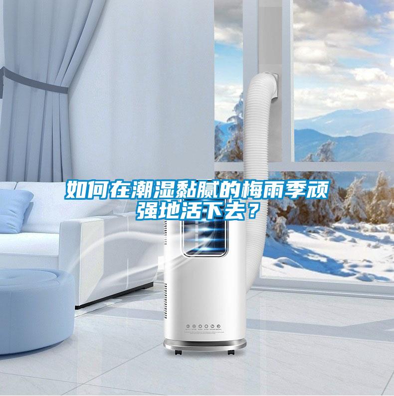如何在潮湿黏腻的梅雨季顽强地活下去？