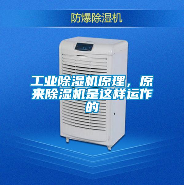 工业茄子视频懂你更多在线观看原理，原来茄子视频懂你更多在线观看是这样运作的