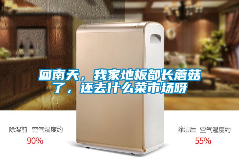 回南天，我家地板都长蘑菇了，还去什么菜市场呀