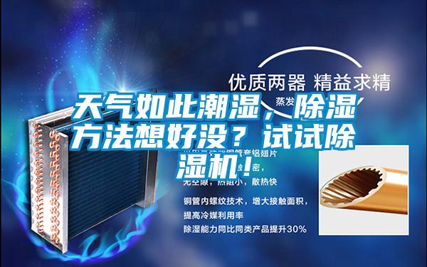天气如此潮湿，除湿方法想好没？试试茄子视频懂你更多在线观看！