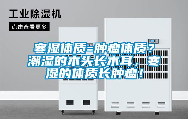 寒湿体质=肿瘤体质？潮湿的木头长木耳，寒湿的体质长肿瘤！