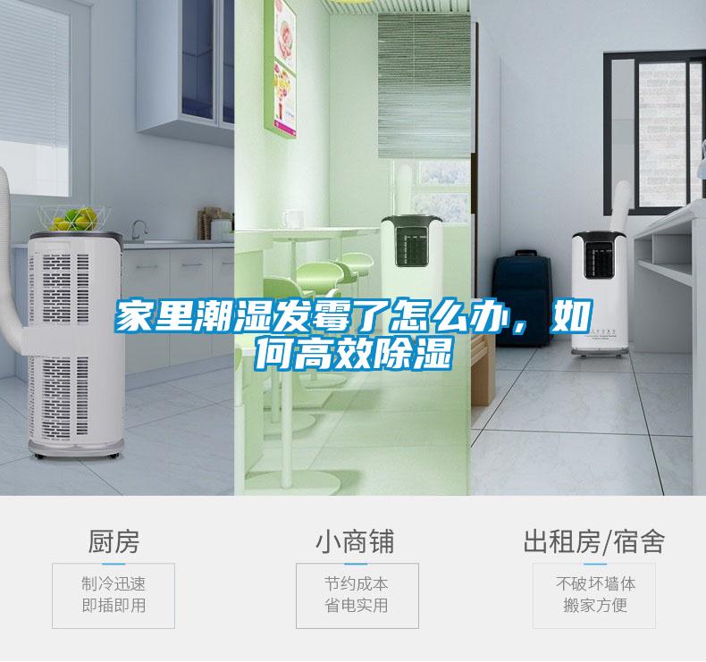 家里潮湿发霉了怎么办，如何高效除湿