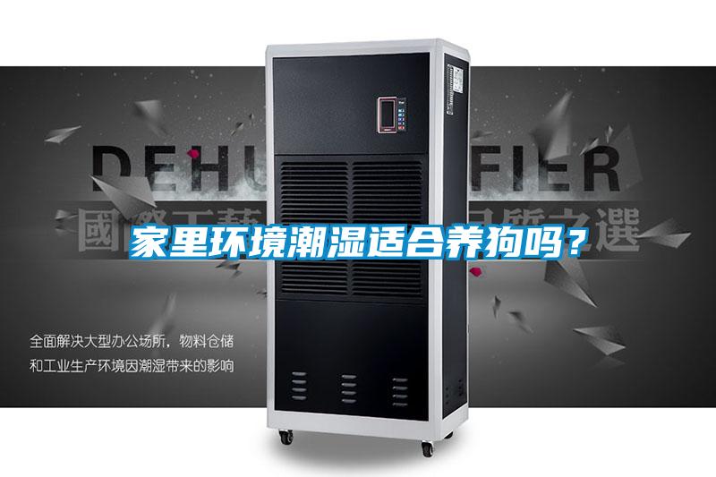 家里环境潮湿适合养狗吗？