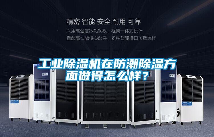 工业茄子视频懂你更多在线观看在防潮除湿方面做得怎么样？