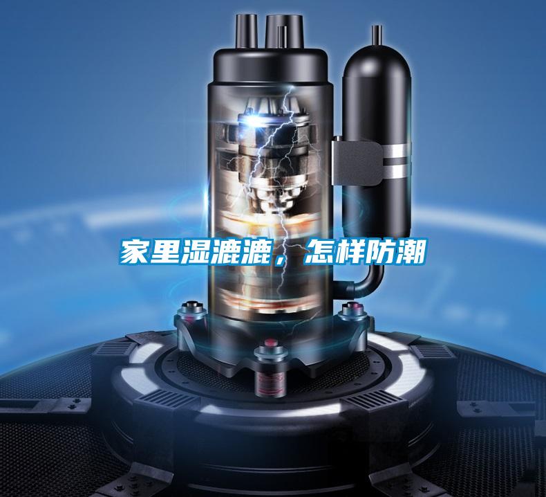 家里湿漉漉，怎样防潮