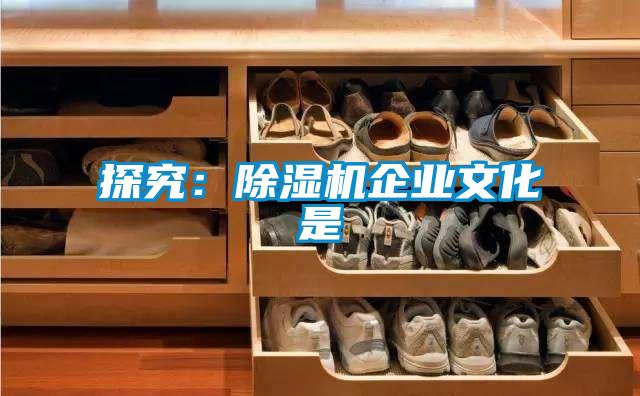 探究：茄子视频懂你更多在线观看企业文化是