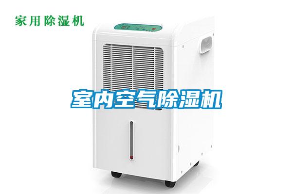 室内空气茄子视频懂你更多在线观看