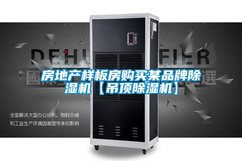 房地产样板房购买某品牌茄子视频懂你更多在线观看【吊顶茄子视频懂你更多在线观看】