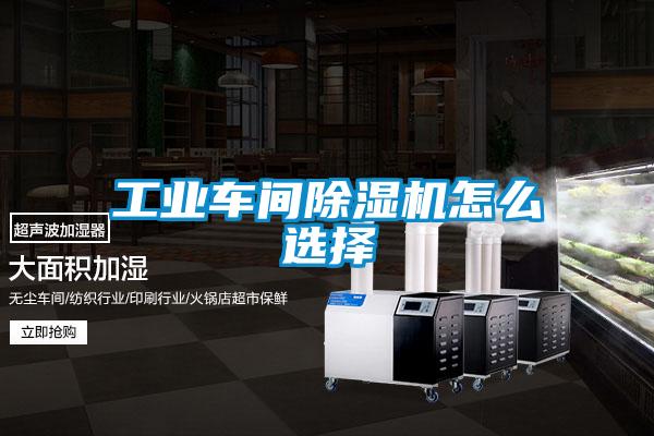 工业车间茄子视频懂你更多在线观看怎么选择