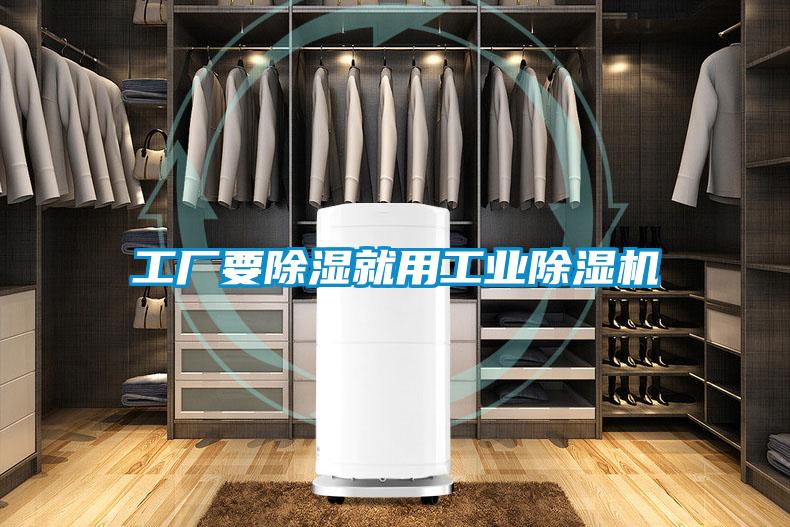 工厂要除湿就用工业茄子视频懂你更多在线观看