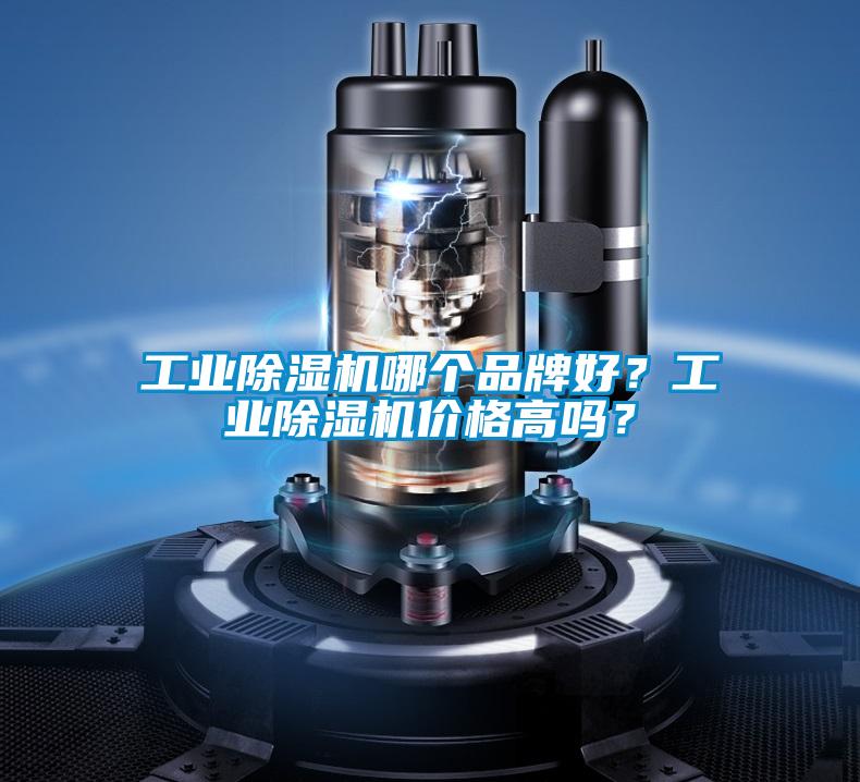 工业茄子视频懂你更多在线观看哪个品牌好？工业茄子视频懂你更多在线观看价格高吗？