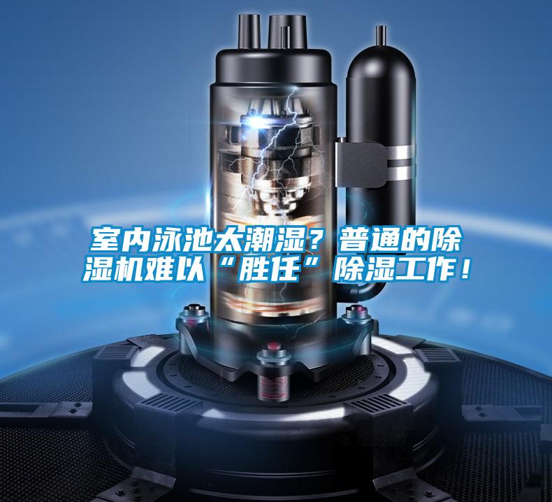 室内泳池太潮湿？普通的茄子视频懂你更多在线观看难以“胜任”除湿工作！
