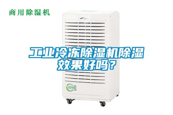 工业冷冻茄子视频懂你更多在线观看除湿效果好吗？