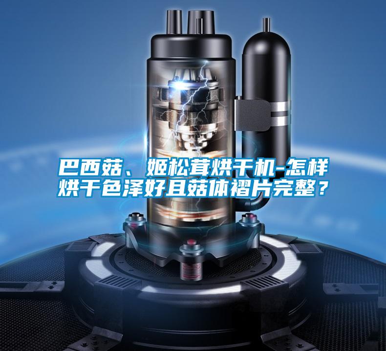 巴西菇、姬松茸烘干机-怎样烘干色泽好且菇体褶片完整？
