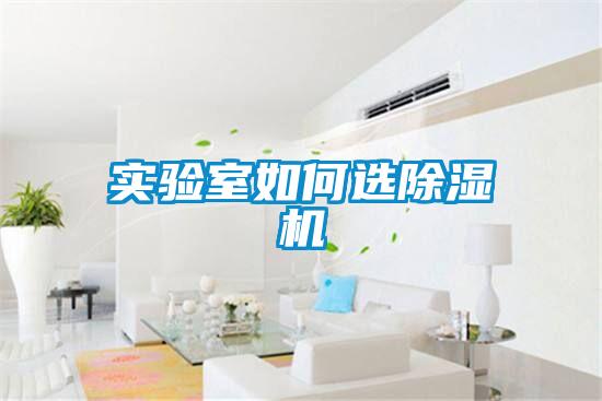 实验室如何选茄子视频懂你更多在线观看
