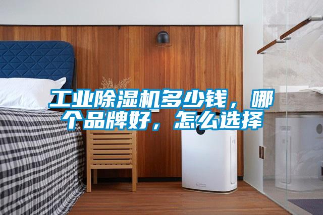 工业茄子视频懂你更多在线观看多少钱，哪个品牌好，怎么选择