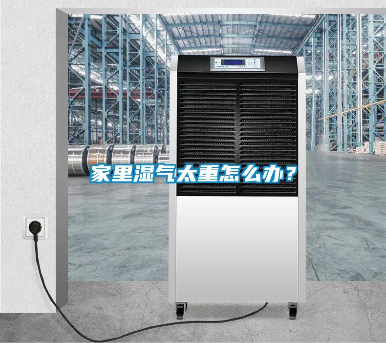 家里湿气太重怎么办？