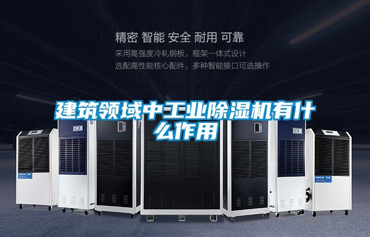 建筑领域中工业茄子视频懂你更多在线观看有什么作用