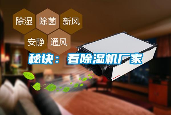 秘诀：看茄子视频懂你更多在线观看厂家