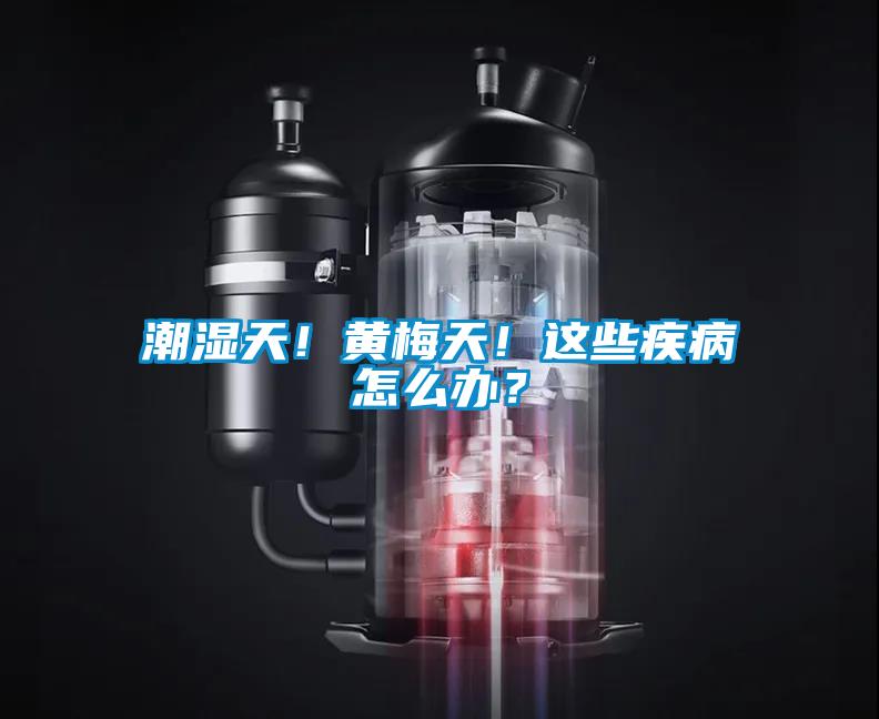 潮湿天！黄梅天！这些疾病怎么办？