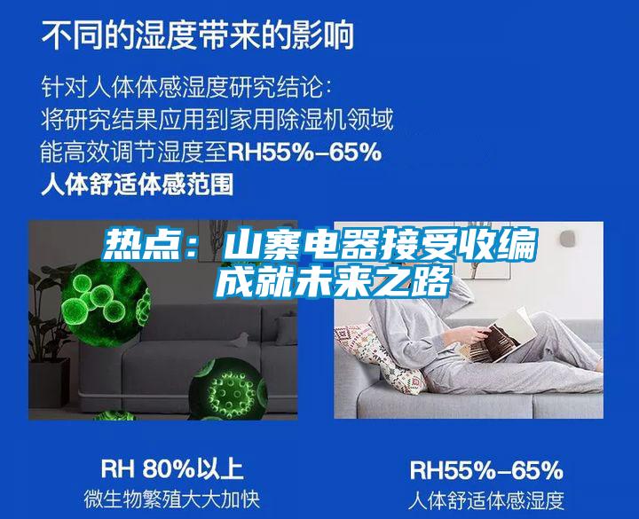 热点：山寨电器接受收编 成就未来之路