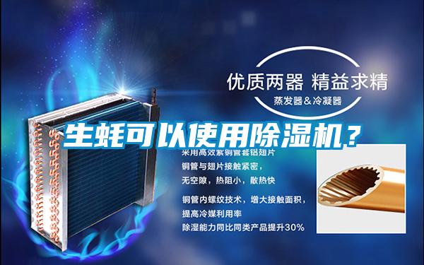 生蚝可以使用茄子视频懂你更多在线观看？