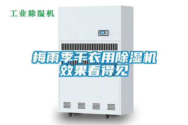 梅雨季干衣用茄子视频懂你更多在线观看效果看得见