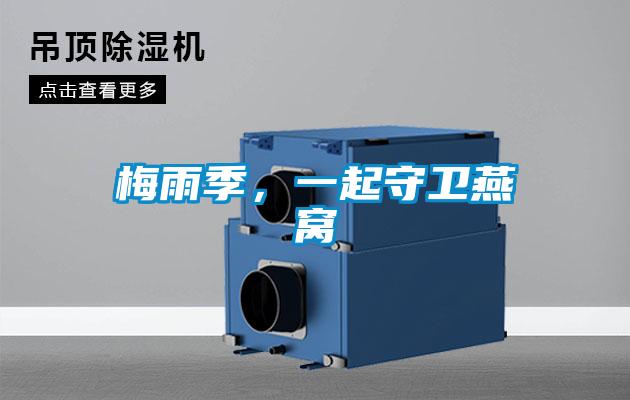 梅雨季，一起守卫燕窝