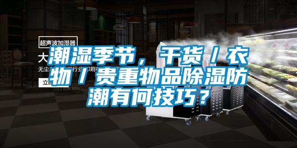 潮湿季节，干货／衣物／贵重物品除湿防潮有何技巧？