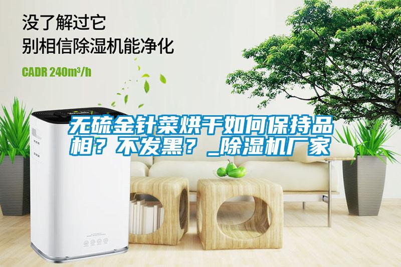 无硫金针菜烘干如何保持品相？不发黑？_茄子视频懂你更多在线观看厂家