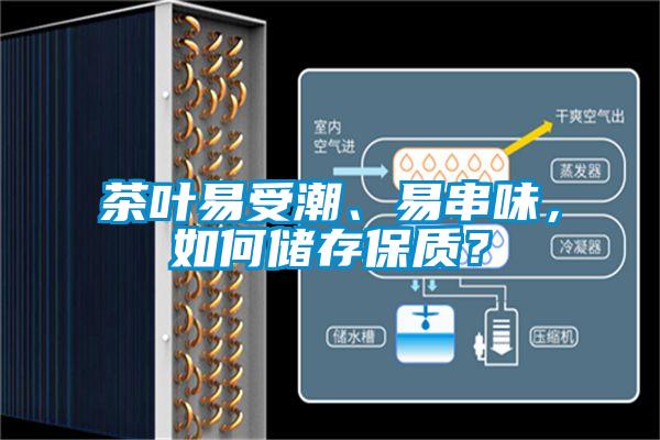 茶叶易受潮、易串味，如何储存保质？