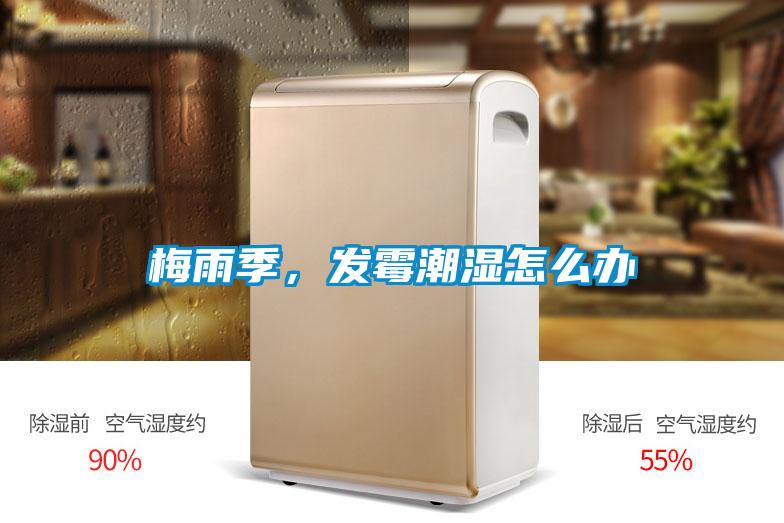 梅雨季，发霉潮湿怎么办