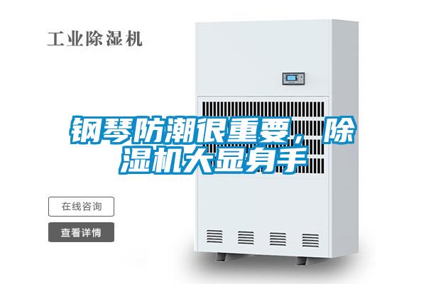 钢琴防潮很重要，茄子视频懂你更多在线观看大显身手