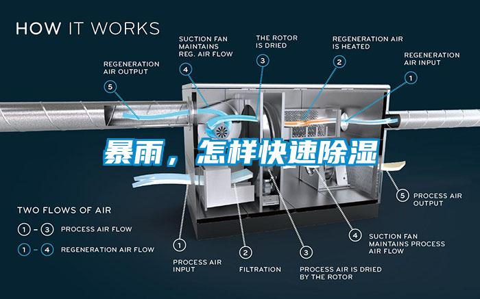 暴雨，怎样快速除湿
