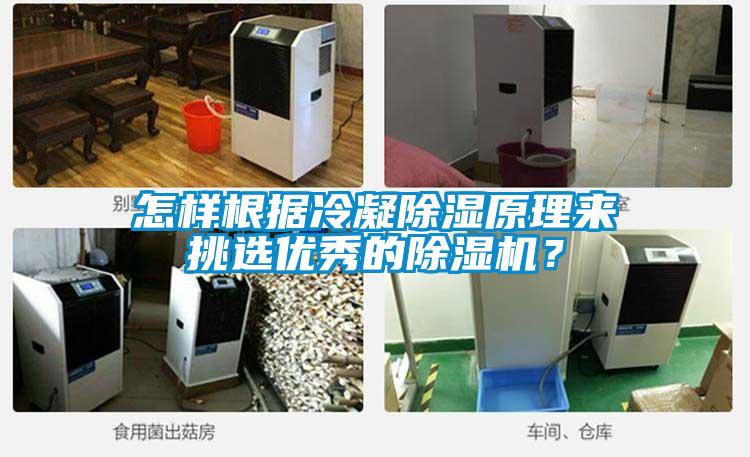 怎样根据冷凝除湿原理来挑选优秀的茄子视频懂你更多在线观看？
