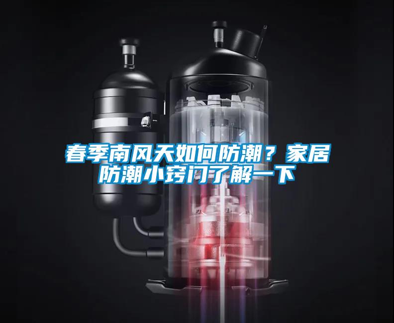 春季南风天如何防潮？家居防潮小窍门了解一下