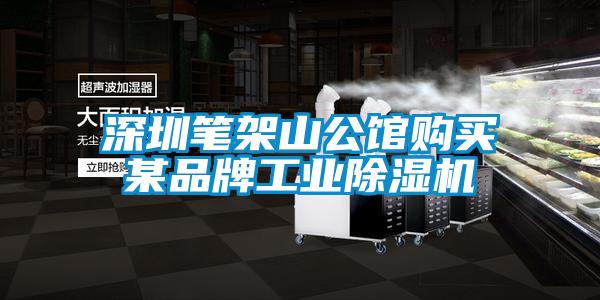 深圳笔架山公馆购买某品牌工业茄子视频懂你更多在线观看